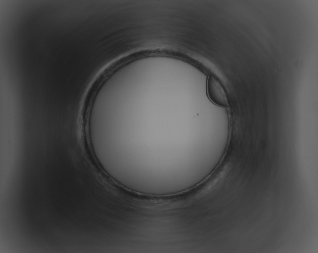X0000100970927200806241201