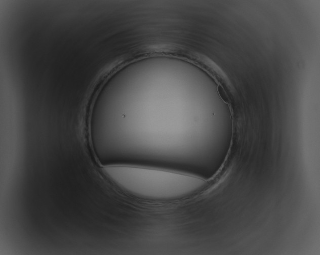 X0000100970930200806241201