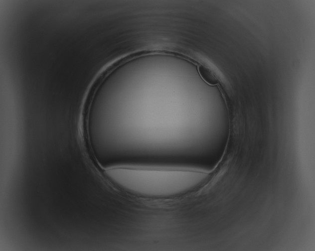 X0000100970932200806241201