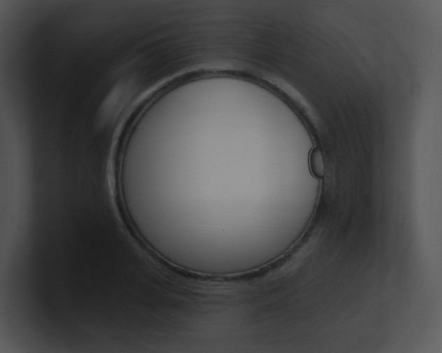 X0000100970935200806241201