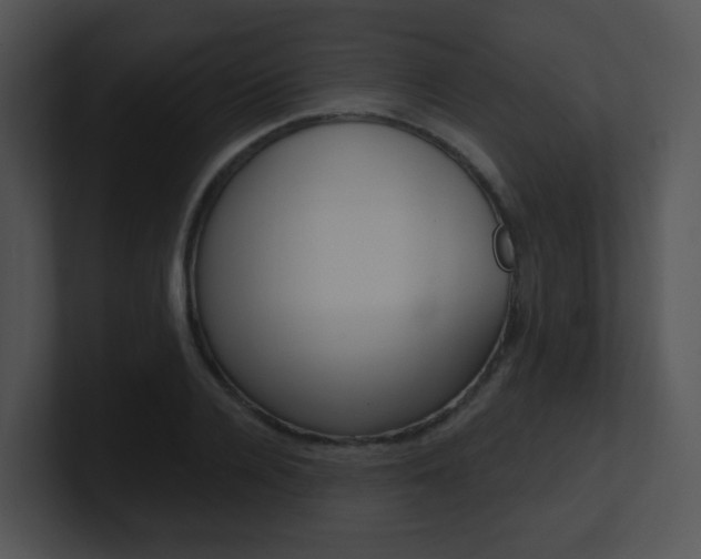 X0000100970936200806241201