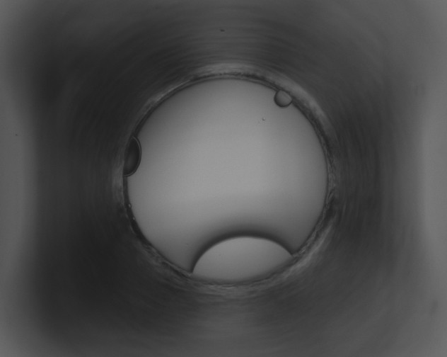 X0000100970937200806241201