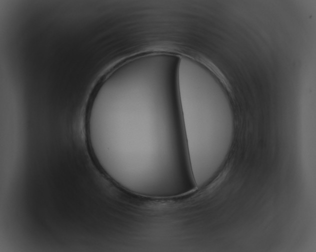 X0000100970939200806241201