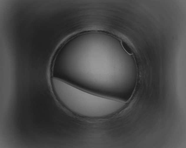 X0000100970942200806241201