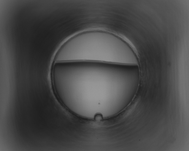 X0000100970943200806241201