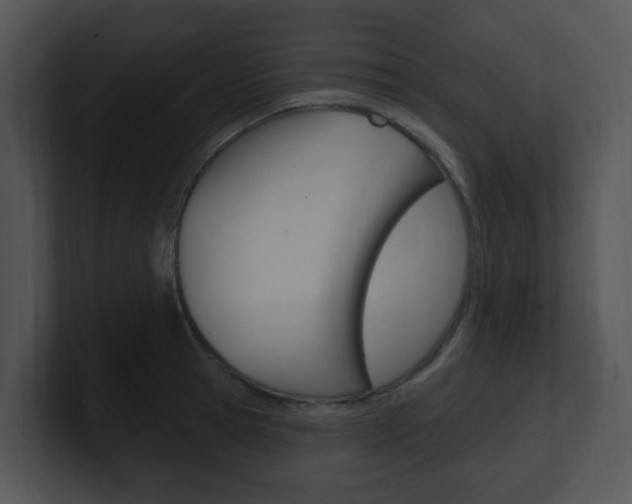 X0000100970945200806241201