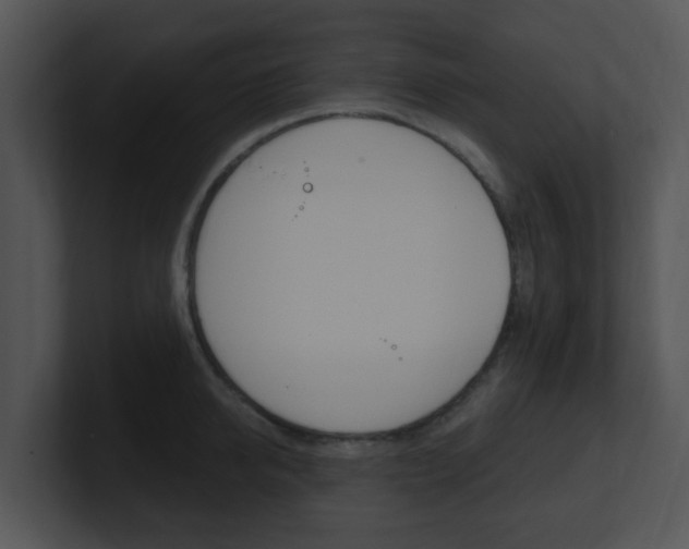 X0000100970950200806241201