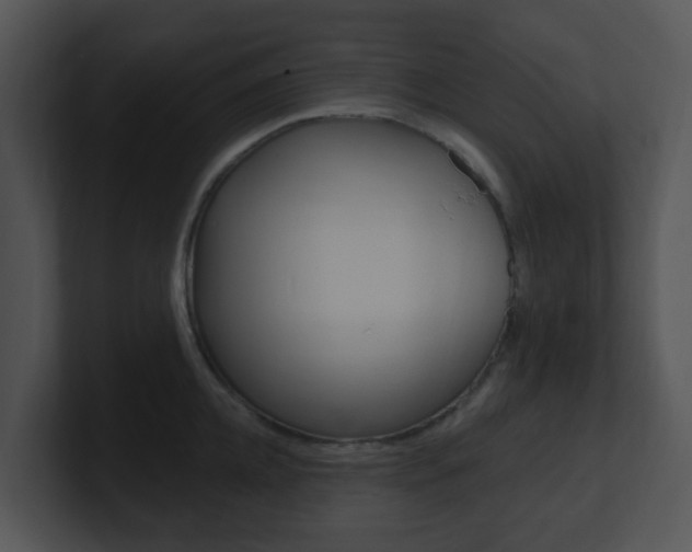 X0000100970952200806241201