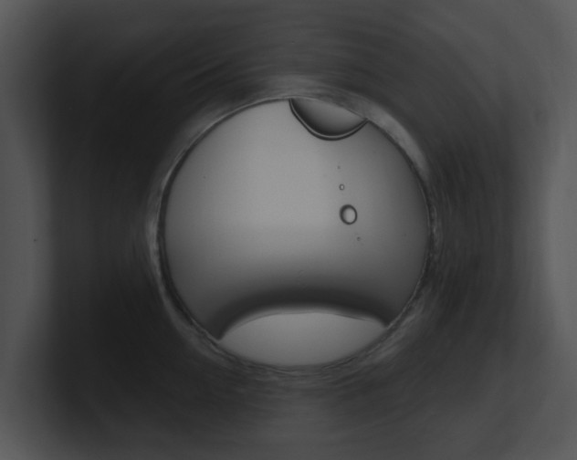 X0000100970954200806241201