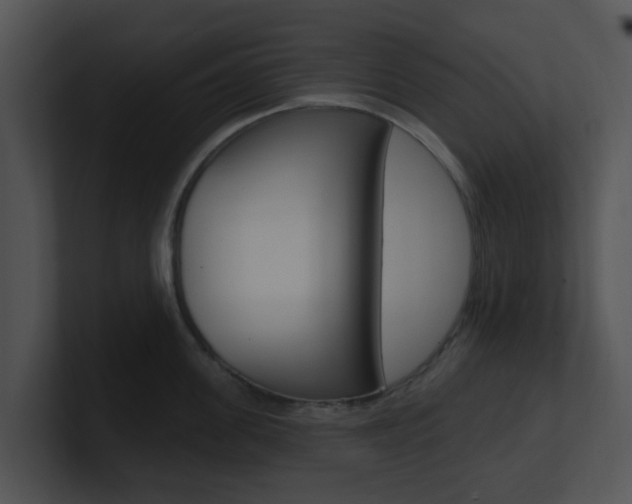 X0000100970955200806241201