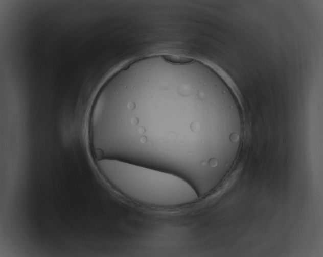 X0000100970957200806241201