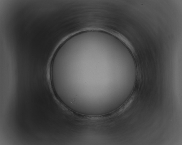 X0000100970958200806241201