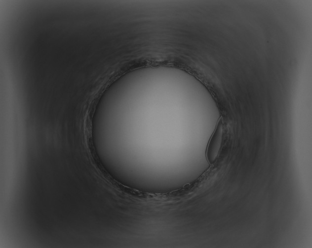 X0000100970961200806241201