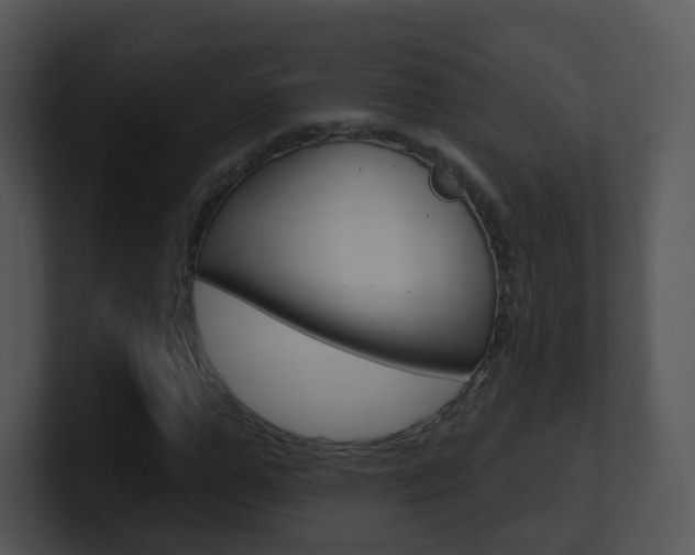 X0000100970967200806241200