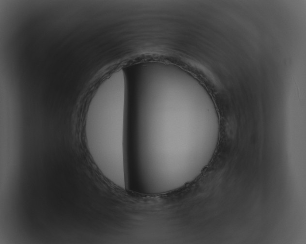 X0000100970968200806241200
