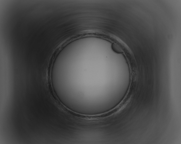 X0000100970969200806241200
