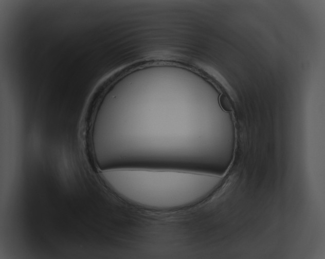 X0000100970971200806241200