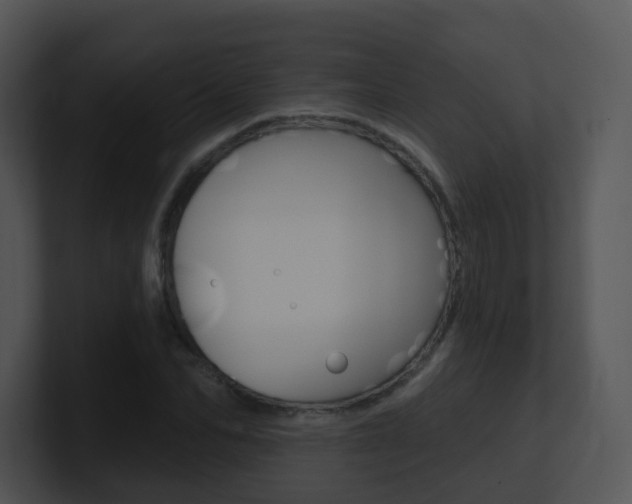 X0000100970974200806241200