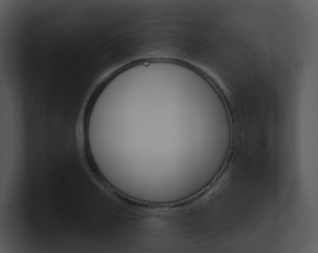 X0000100970982200806241200