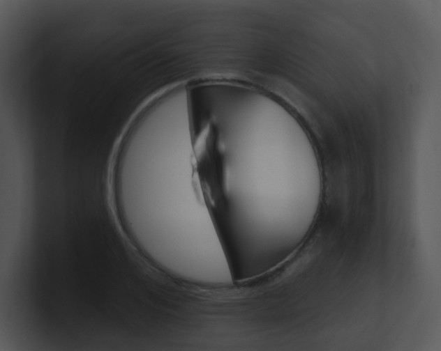 X0000100970984200806241200