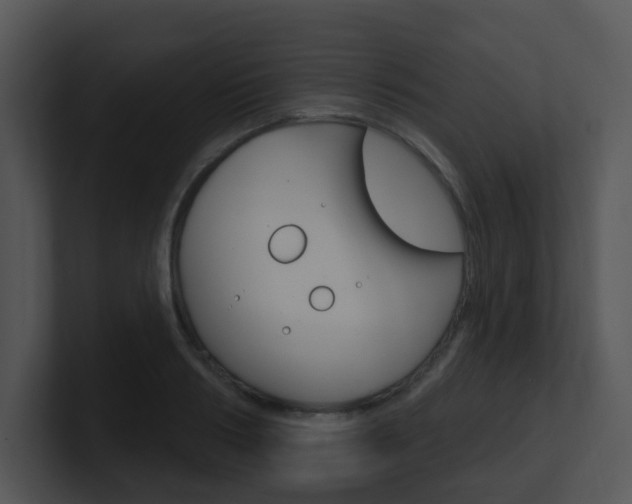 X0000100970986200806241200
