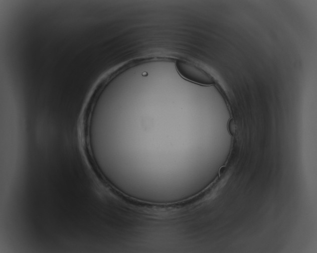 X0000100970987200806241200