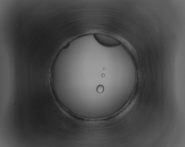 X0000100970993200806241200