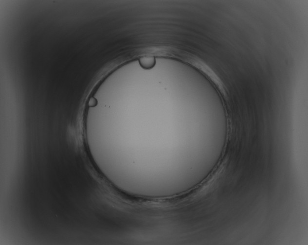 X0000100970994200806241200