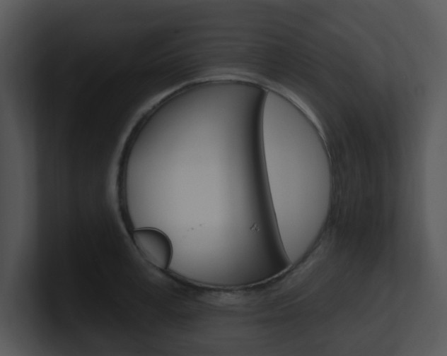 X0000100970995200806241200