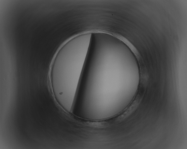 X0000100971004200806241200