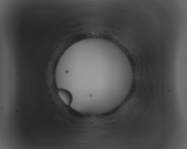 X0000100971009200806241159