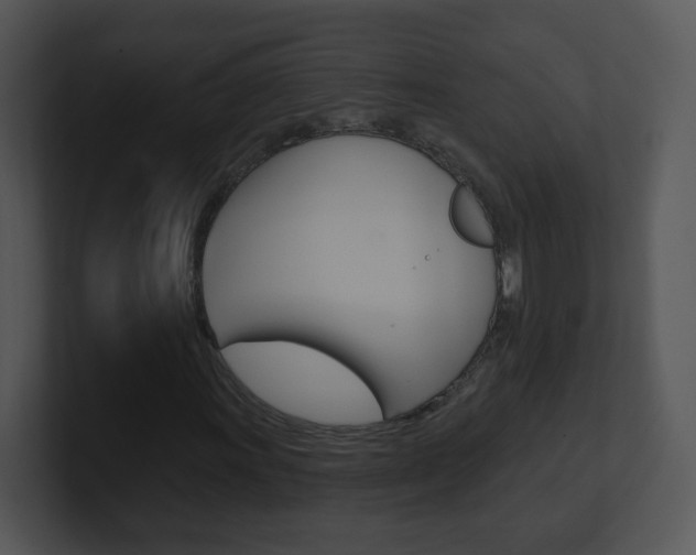 X0000100971011200806241159