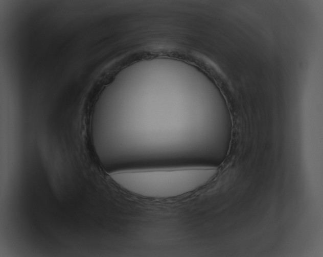 X0000100971016200806241159