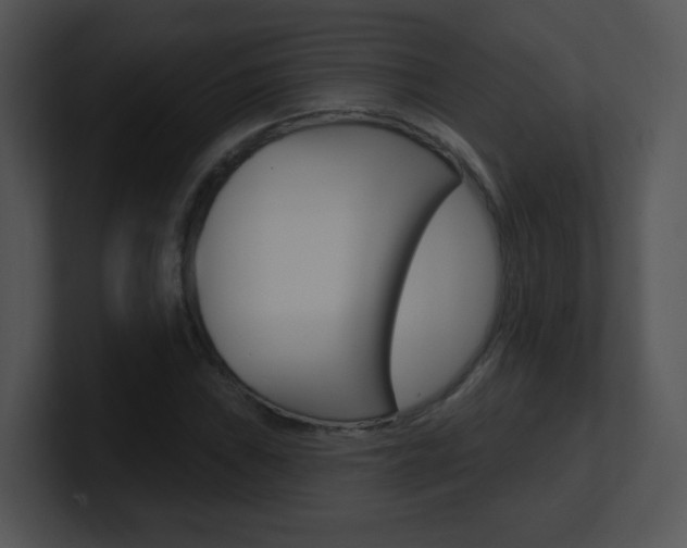 X0000100971019200806241159