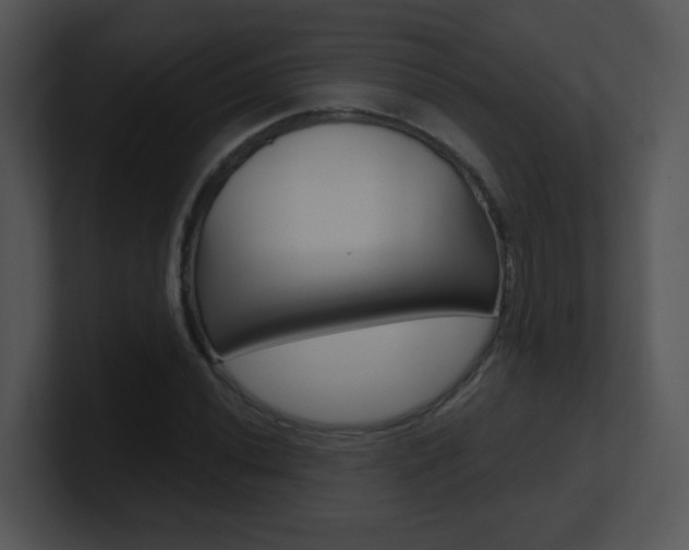 X0000100971020200806241159