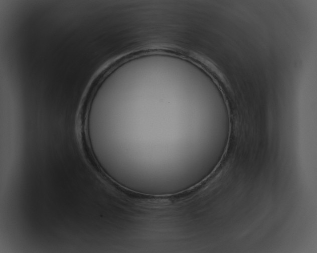 X0000100971024200806241159