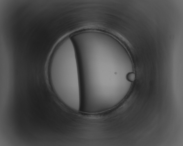 X0000100971029200806241159