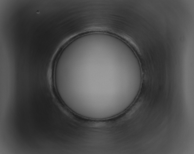 X0000100971030200806241159