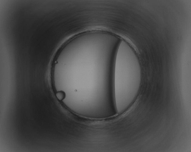 X0000100971038200806241200