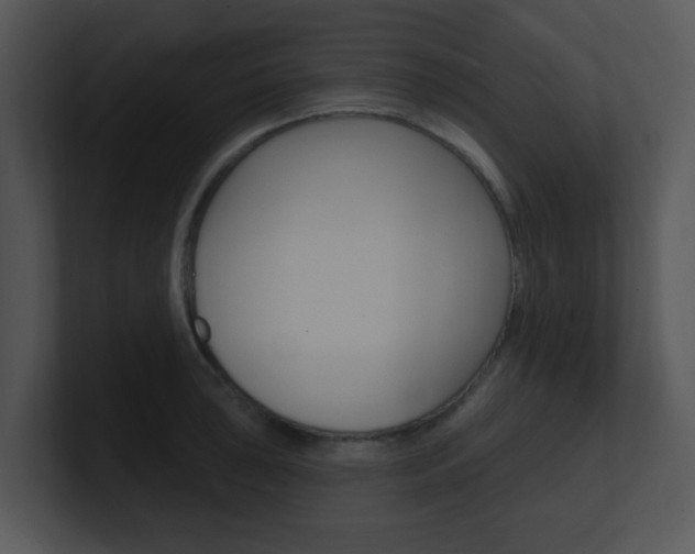 X0000100971043200806241200