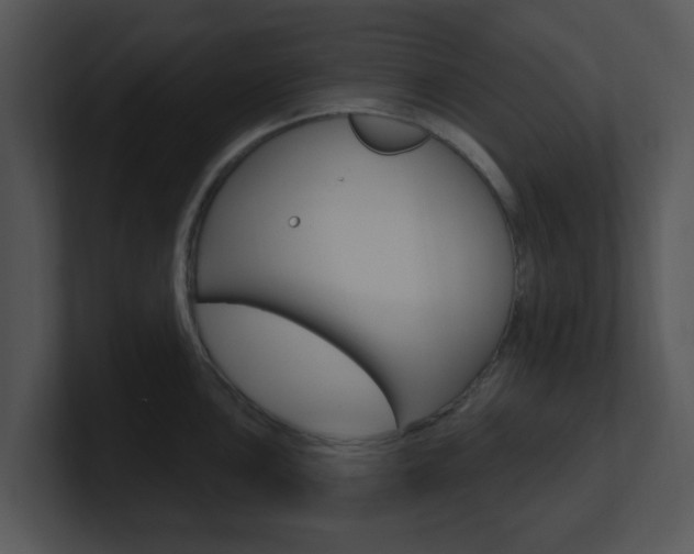 X0000100971051200806241200