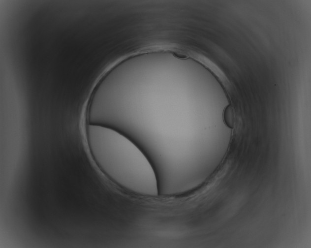 X0000100971055200806241200
