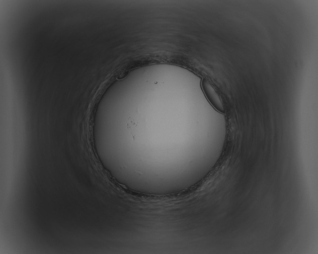 X0000100971057200806241159