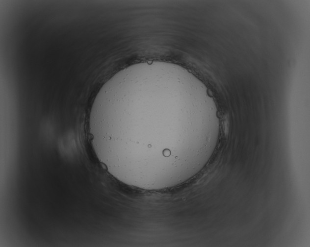 X0000100971059200806241159