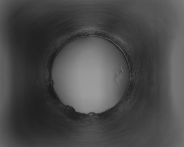 X0000100971062200806241159