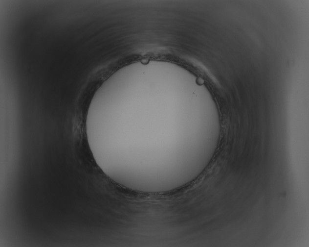 X0000100971063200806241159