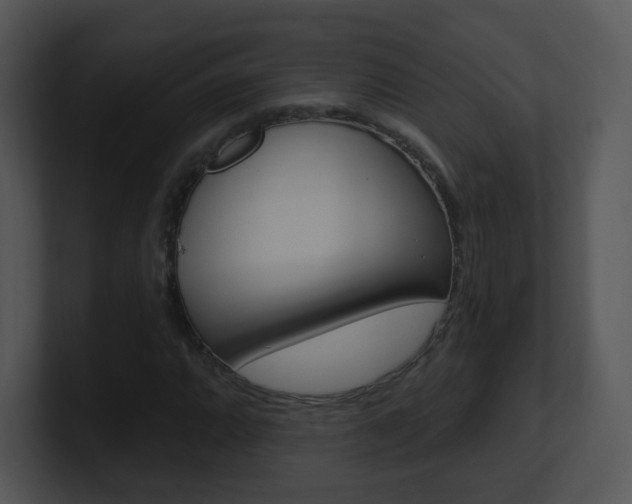 X0000100971064200806241159