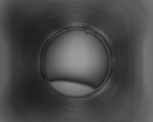 X0000100971065200806241159