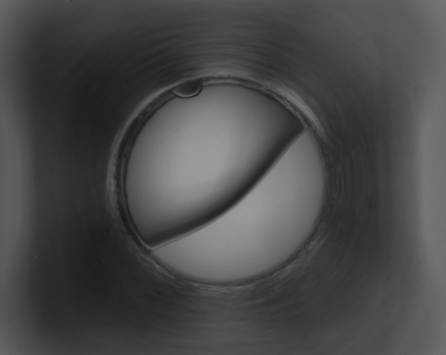 X0000100971068200806241159
