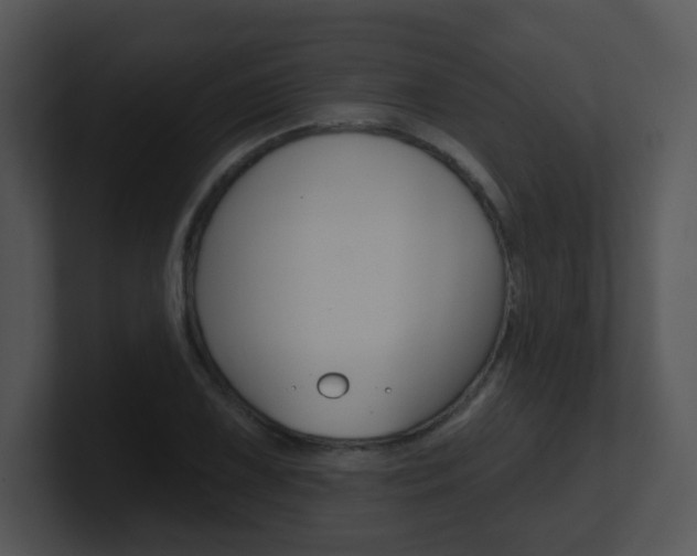 X0000100971075200806241159
